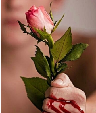 求手拿着带刺的玫瑰花,但是手正在流血的图片