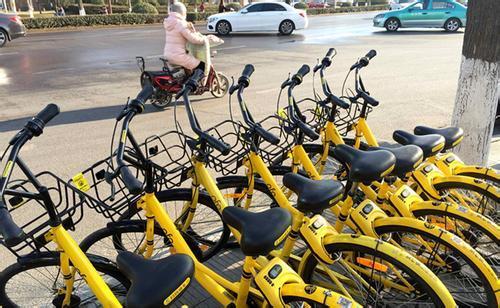 大连小黄车都投放到了哪里