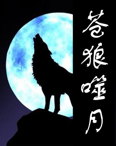 我朋友在17k写的小说《苍狼噬月》有没有谁能帮忙设计个封面呢?