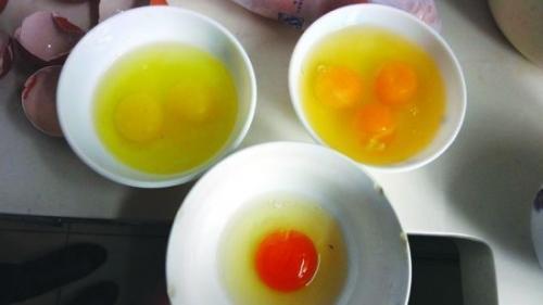 世界上一个鸡蛋最多有几个蛋黄