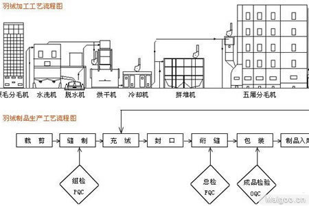 羽绒分毛加工