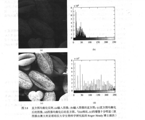 在图像处理中,用直方图均衡化方法处理图像后