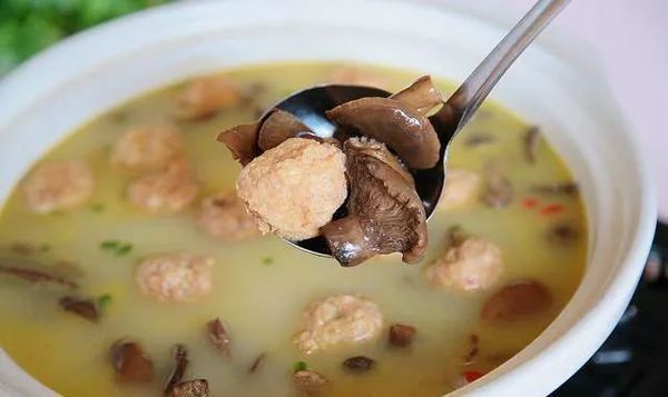 枞树菌瘦肉汤的家常做法怎么做好吃