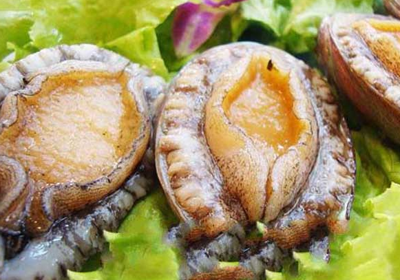 活鲍鱼要怎么保鲜与存放