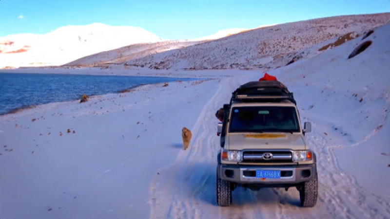 [图]《一义孤行》雪地里追了80多公里，一人一狗开启荒野旅途