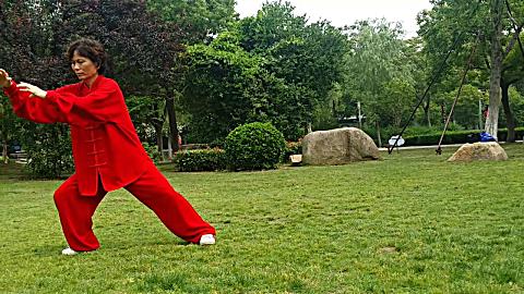 武当太极拳38式【蔡冲美20180605】