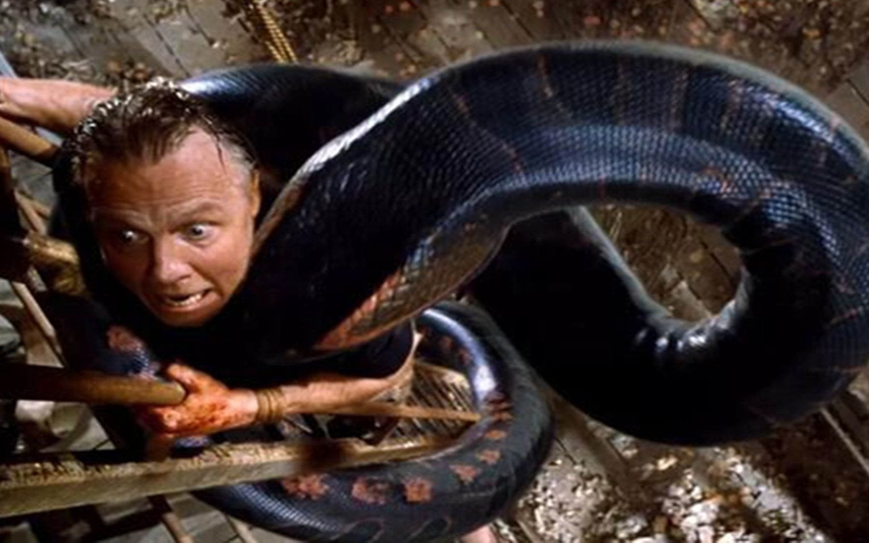 吓坏人的蟒蛇电影,童年阴影!巨蟒吞人画面成为经典