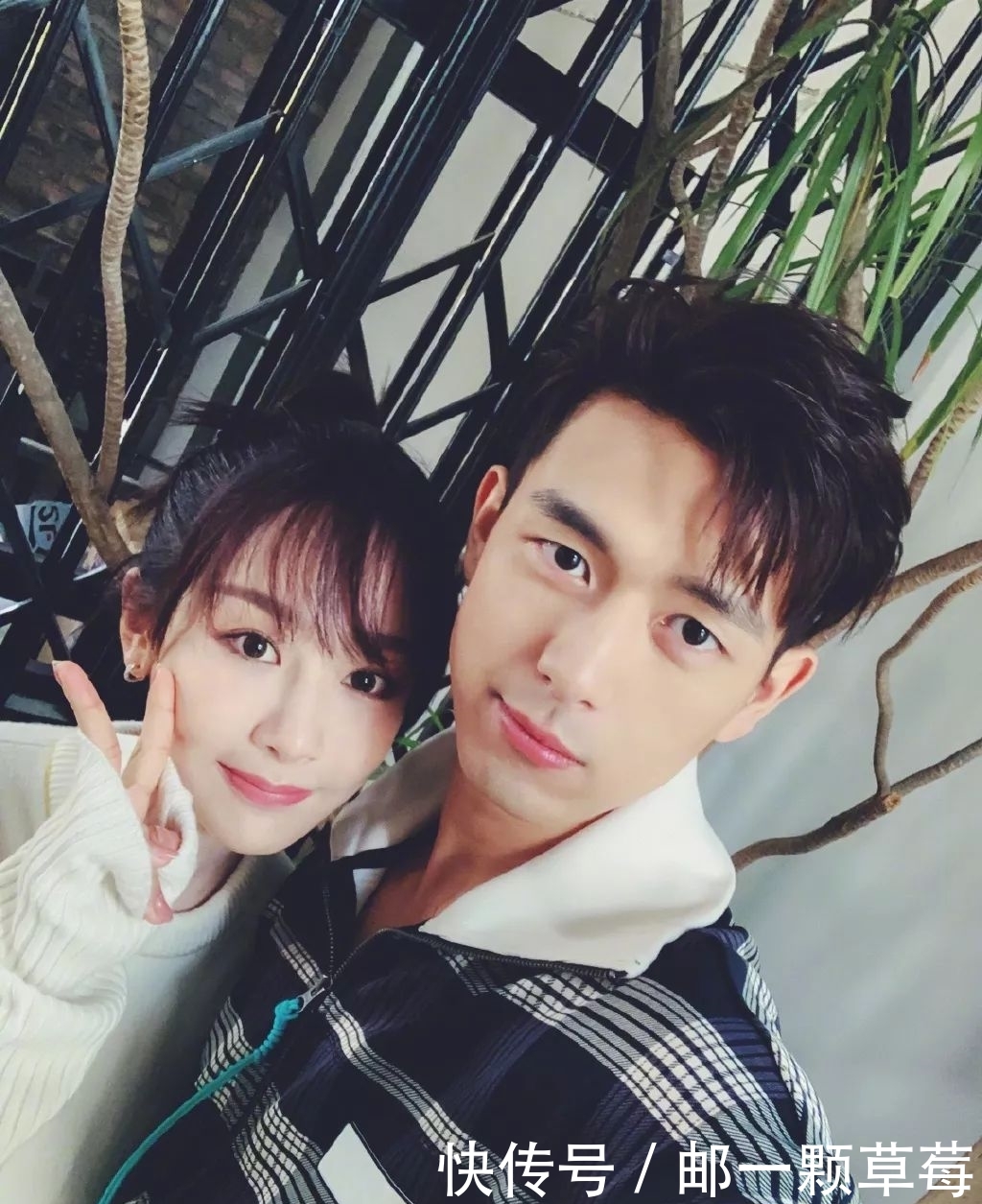 吴亦凡杨幂堕胎