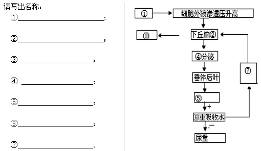 水平衡调节图图片