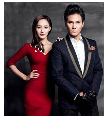 王智与赵英俊是在电影《我爱灰太