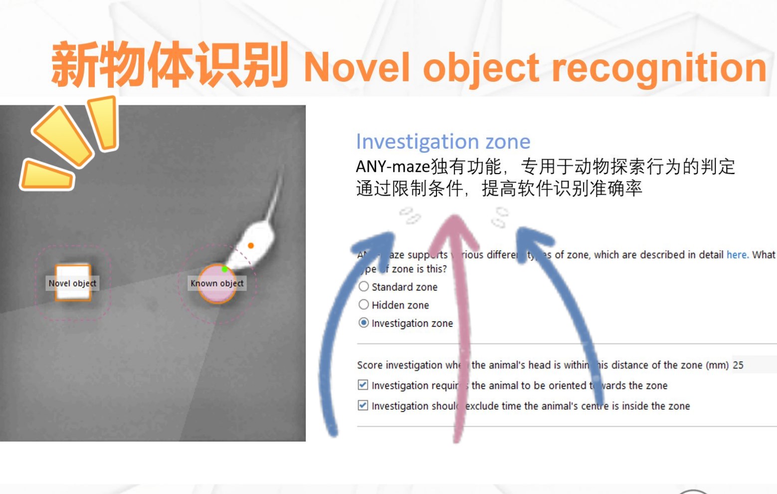 [图]ANY-maze网课系列——新物体识别与三箱社交