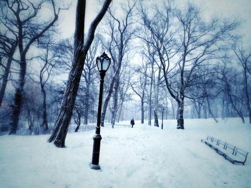 冬天的雨是什么样的