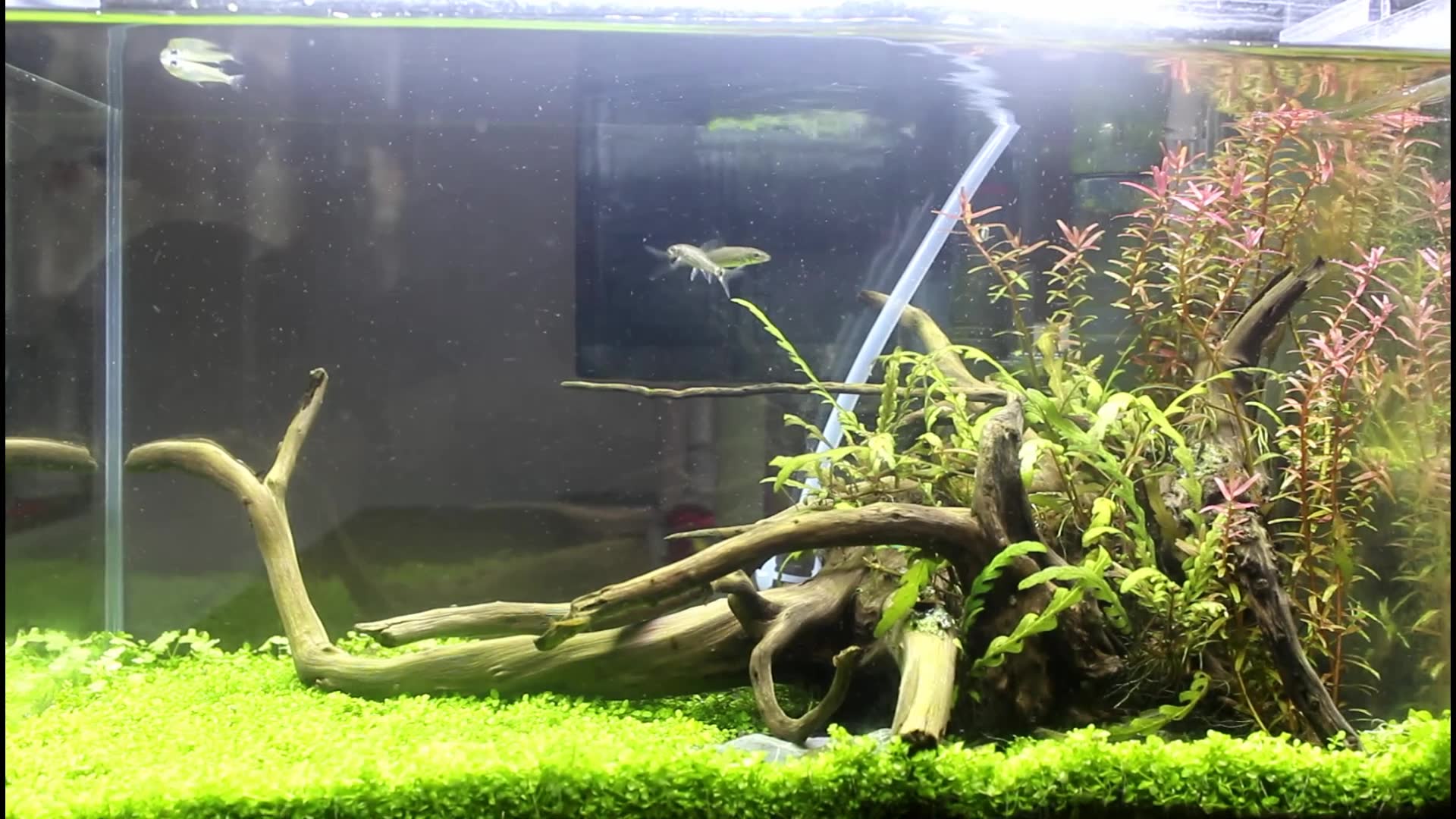 360影视 影视搜索