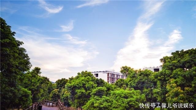 2020考研政治选择