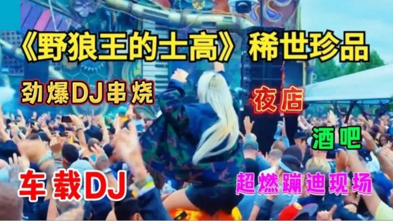 [图]《野狼王的士高》稀世珍品,经典DJ串烧(珍藏版)激情澎湃嗨起来