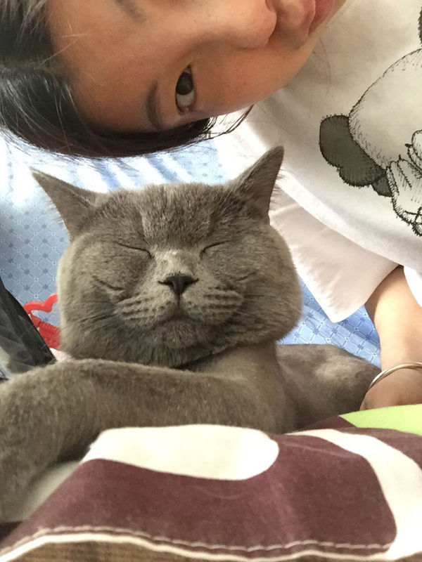 家里新来了一只猫。大猫老打小猫怎么办?我是