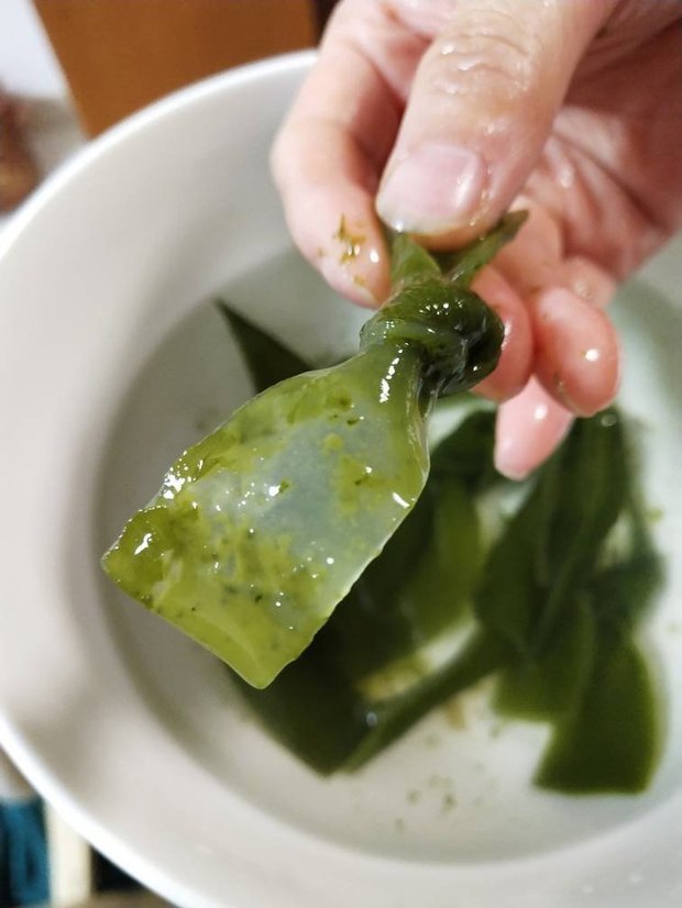 这个海带是不是假的?