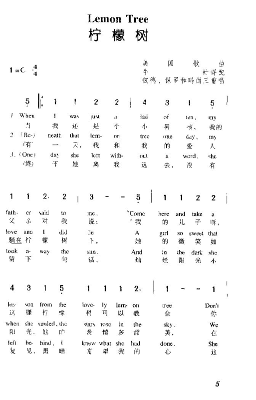 海芋恋歌词图片