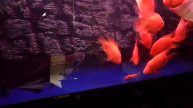 360影视 影视搜索