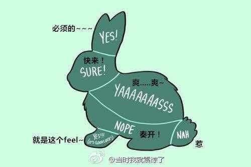 兔子最喜欢摸哪里