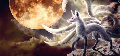 带有月亮和迷雾的九尾狐妖图