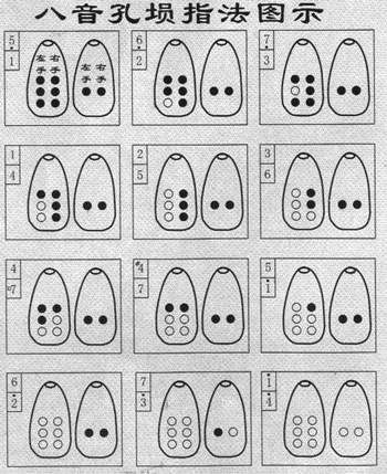 八孔埙指法入门图表图片