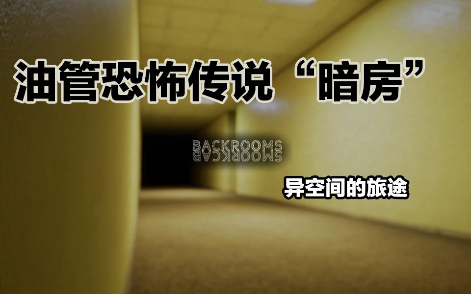 [图]在巨大的迷宫中寻求生路/独立恐怖游戏【现实的暗房/Backrooms OfReality】