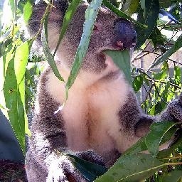 因为婆媳关系不好,冲动离婚的代价