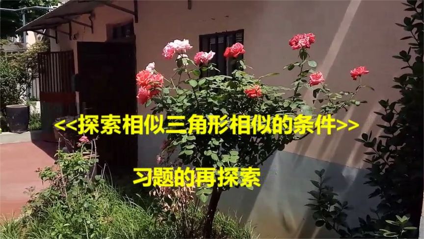 [图]《探索相似三角形相似的条件》习题 初三《图形的相似》