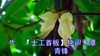 [图]血火棠棣花(棠伯父)何萍 李惠雯 25;00【卡拉OK粤曲】可消音伴奏