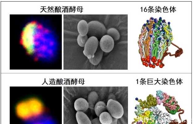 中国科研的创新