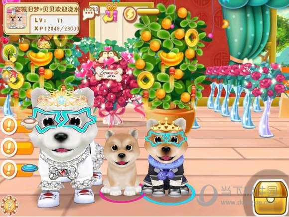 晴天小狗生双胞胎秘籍