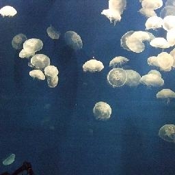 2018要做铃声的一首歌,一口气听了30遍,太好听