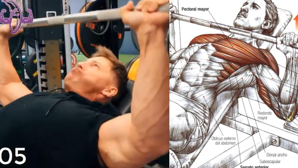 16个 胸肌训练 打造肉身铠甲