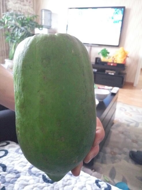 一种绿色的瓜,如图,里面有白色的种子颗粒,这叫