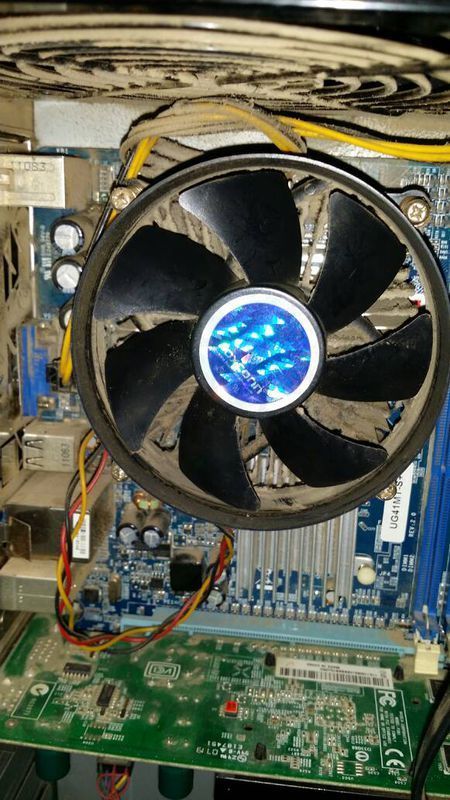 电脑屏幕显示无信号,听说是显卡问题,金手指在