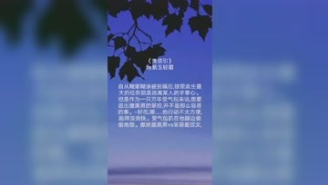 360影视 影视搜索