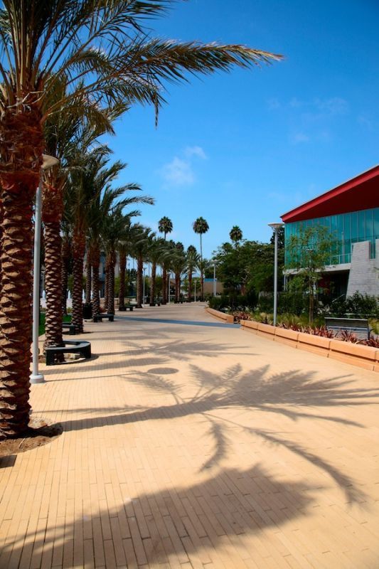 圣莫尼卡大学(santamonicacollege)的位置和校园_360问答
