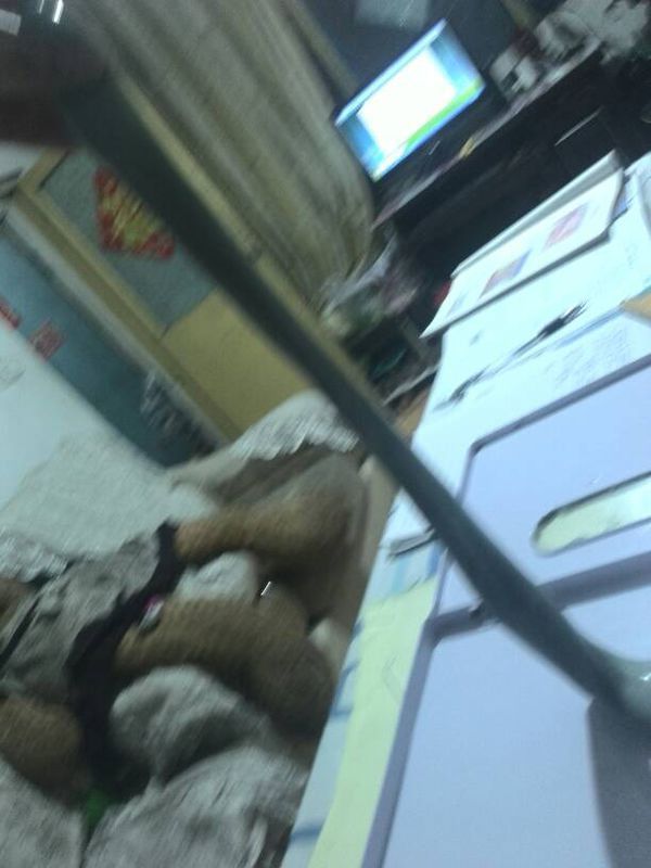 只用牙膏盐胶水做透明的史莱姆怎么做