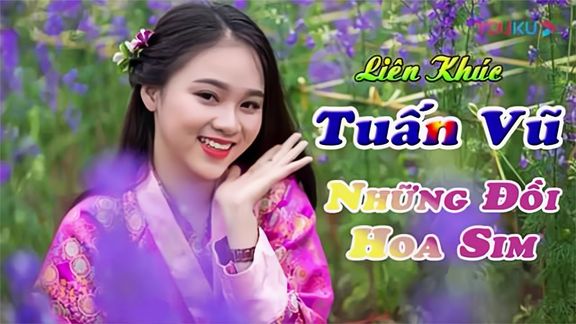 [图]越南合奏曲 Vũ Những Đồi Hoa Sim - LK Organ Không Lời