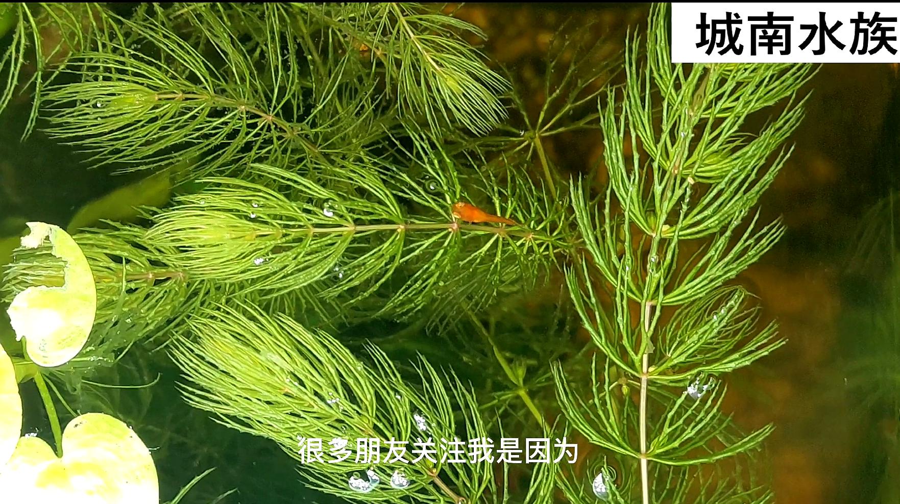 360影视 影视搜索 360影视 影视搜索