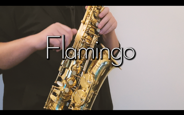 [图]【SaxoPEdCh】F l a m i n g o