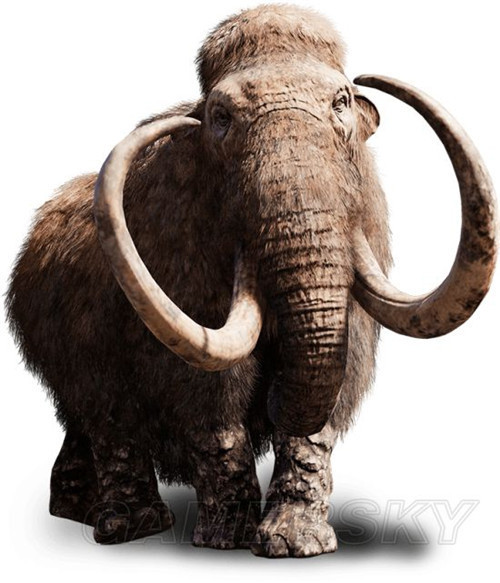 spelaeus) 大角鹿 irish elk (megaloceros giganteus) 披毛犀 woolly