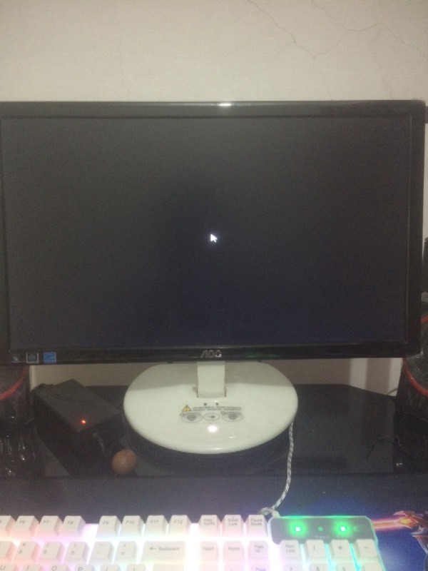 电脑启动时黑屏,只有一个鼠标,任务管理器出不