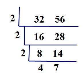 32和56用短除法计算法最大公约数