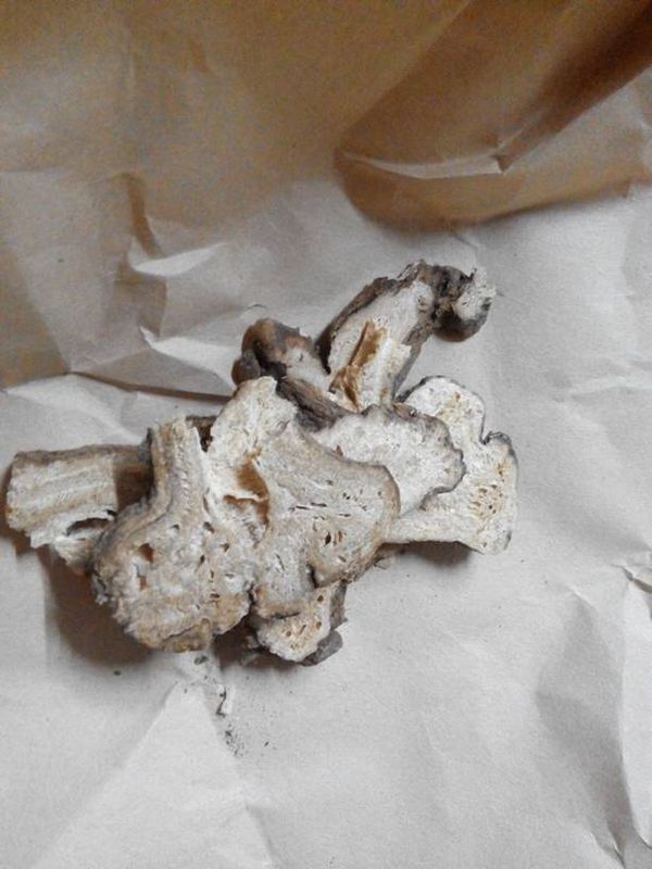 想熬粥 图片中分别是 党参 白术 茯苓 请问怎样