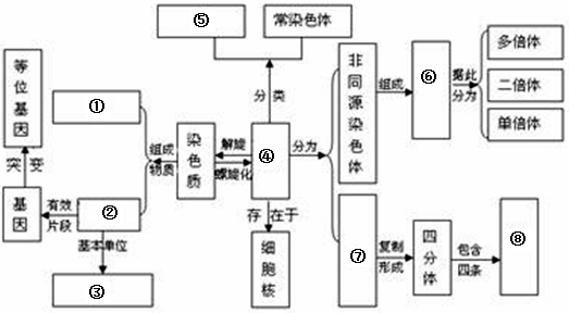 下面是有关遗传学的概念图:填写图中①～⑧物质或结构名称:①