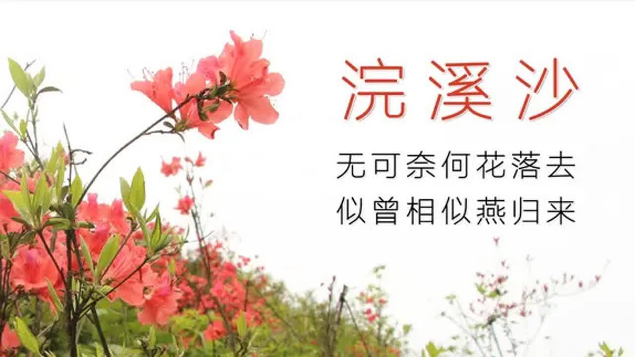 [图]行草欣赏《浣溪沙》,晏殊是这样感叹时光飞逝的,无可奈何花落去