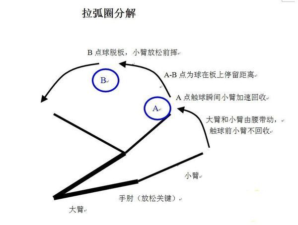 弧圈球原理动画 发力图片