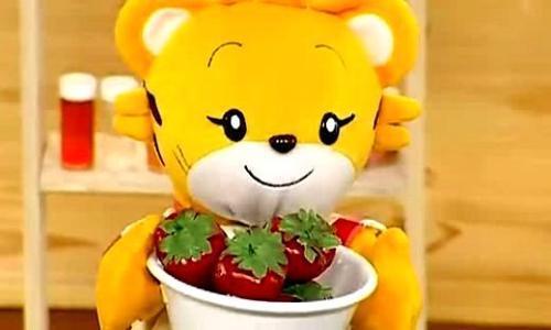 巧虎和巧乐虎的区别